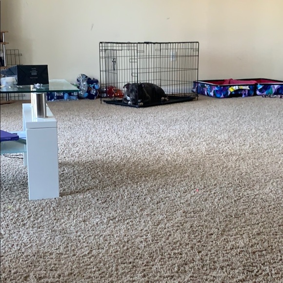 Medium dog cage